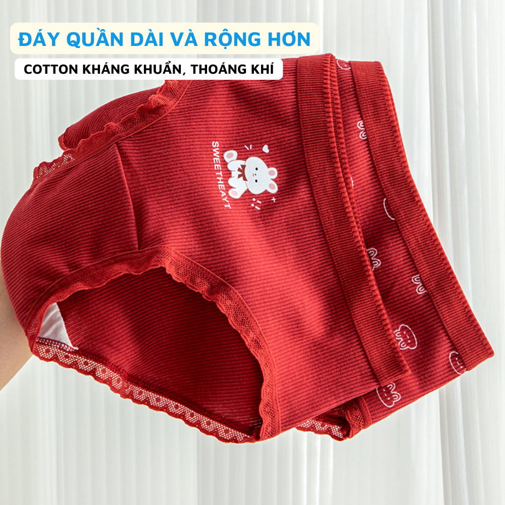 [ Xả Hàng ] Quần lót nữ viền ren chất cotton thoáng khí, quần chíp nữ cạp vừa đáy kháng khuẩn 7a ZANABRA Y20