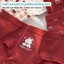 Quần Lót Nữ Cotton Hoạ Tiết Đáng Yêu, Combo Quần Chip Nữ Cạp Vừa Ôm Dáng Mềm Mại LY20