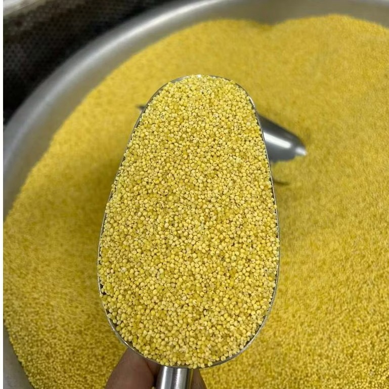 Hạt Kê Nếp Vàng Đã Tách vỏ-Đặc Sản Nghệ An Dẻo thơm Nấu Bánh,Chè, Cháo Kê cho bé ăn dặm-Cốm Tâm Shop