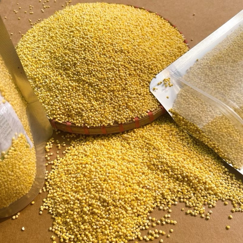Hạt Kê Nếp Vàng Đã Tách vỏ-Đặc Sản Nghệ An Dẻo thơm Nấu Bánh,Chè, Cháo Kê cho bé ăn dặm-Cốm Tâm Shop