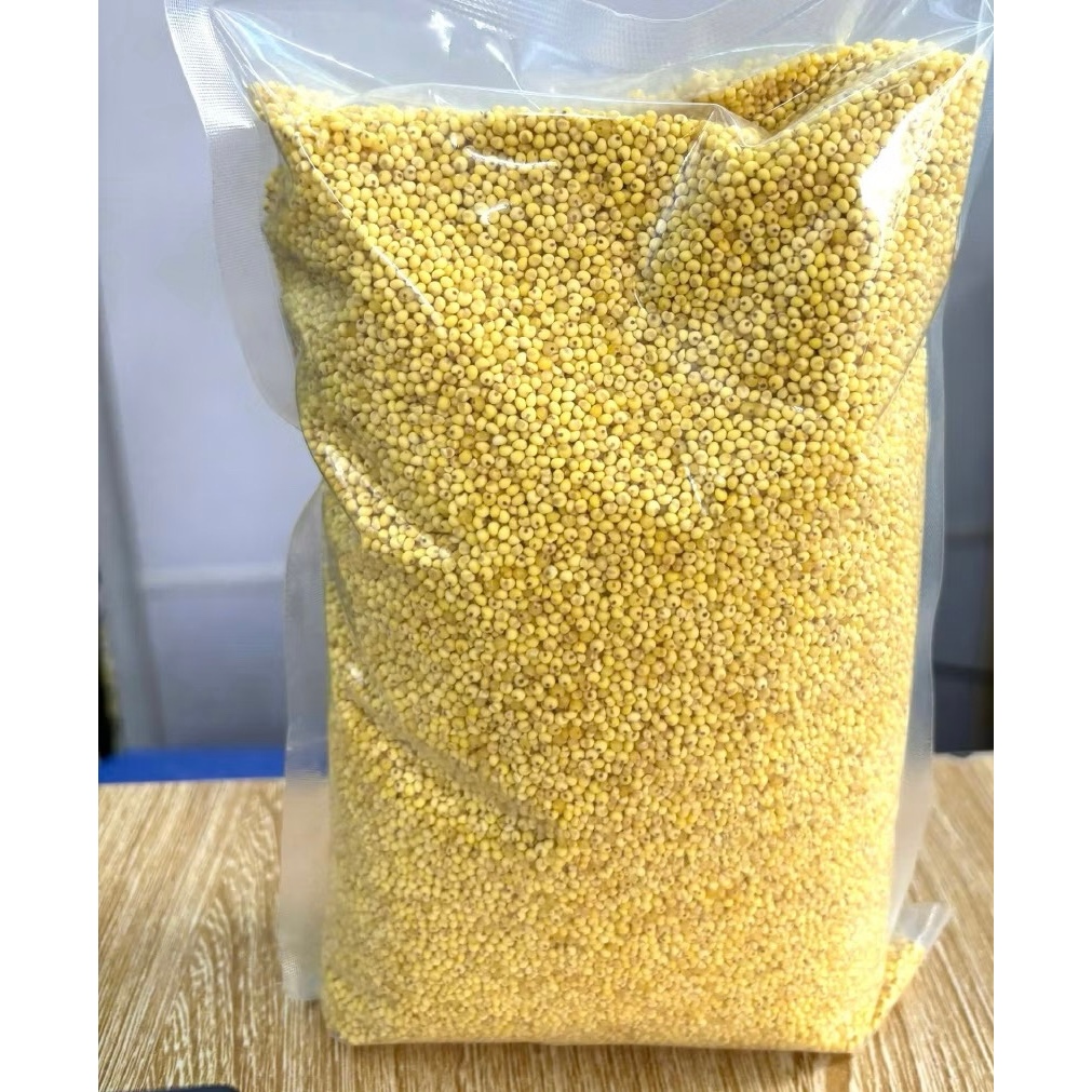 Hạt Kê Nếp Vàng Đã Tách vỏ-Đặc Sản Nghệ An Dẻo thơm Nấu Bánh,Chè, Cháo Kê cho bé ăn dặm-Cốm Tâm Shop