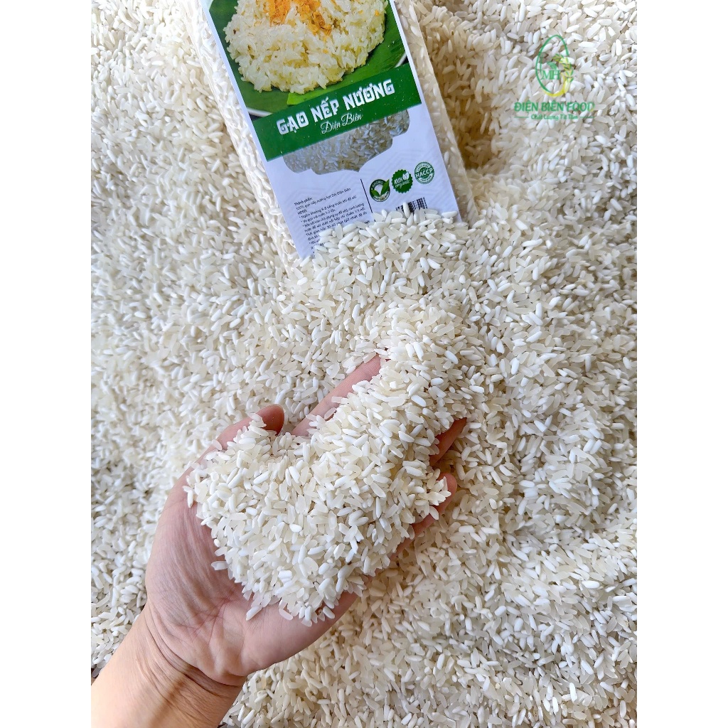 Gạo Nếp Nương Hạt Dài Điện Biên 5kg ( loại đặc biệt ) | Shopee