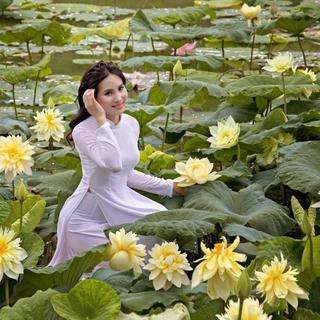BÁN SỈ 500 Gram Hạt Giống Hoa Sen Ta, sen lớn, DÒNG SEN TRỒNG ĐẦM HỒ CỰC NĂNG SUẤT