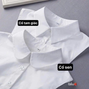 Cổ áo sơ mi cổ tam giác cổ sen mix đồ