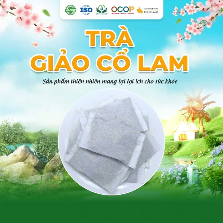 Trà Giảo Cổ Lam Siêu Thị Thiên Nhiên - Hộp 30 Túi Lọc x 3g – 2