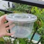 50 Tô Nhựa Sần Loại Dày 1000 ml Có Kèm Nắp Đậy Kín - Tổng Kho Hải Hạnh
