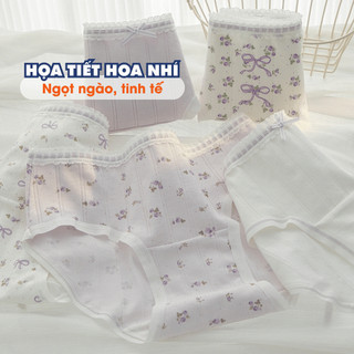 [ MẪU MỚI ] Combo 5 Quần Lót Cotton Mềm Mại, Set 5 Quần Lót Đáy May Kháng Khuẩn AMYBRA New