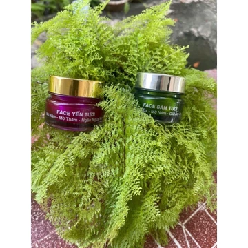 COMBO FACE YẾN TƯƠI + SÂM TƯƠI (24G)