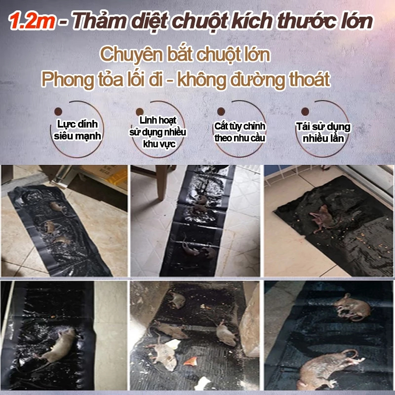 Keo Dính Chuột Siêu Dính, Keo Bẫy Chuột, Mồi nhử chuột hiệu quả, miếng dán chuột siêu dính| Miếng keo dán chuột