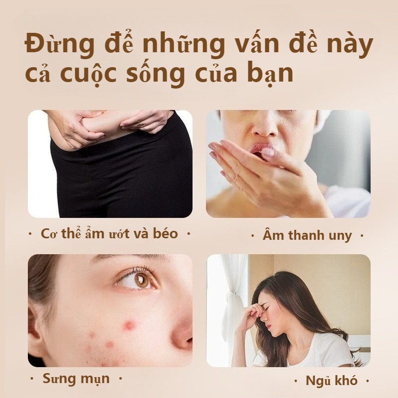 Miếng Dán Giảm Béo Thảo Dược Mugwort (Ngải Cứu) - Hỗ Trợ Đốt Cháy Mỡ Bụng An Toàn & Dịu Nhẹ