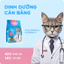 Thức Ăn Cho Mèo MRVET T2 Combo 2 Gói 1KG Tăng Cường Omega 3 Chăm Da Dưỡng Lông Cho Mèo Mọi Lứa Tuổi