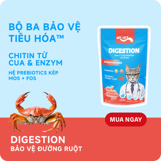 [MỚI] COMBO MIX 5 Pate Dinh Dưỡng MRVET Gói 70G Hỗ Trợ Tim Mạch, Tiêu Hóa, Xương Khớp, Hệ Miễn Dịch, Da Lông