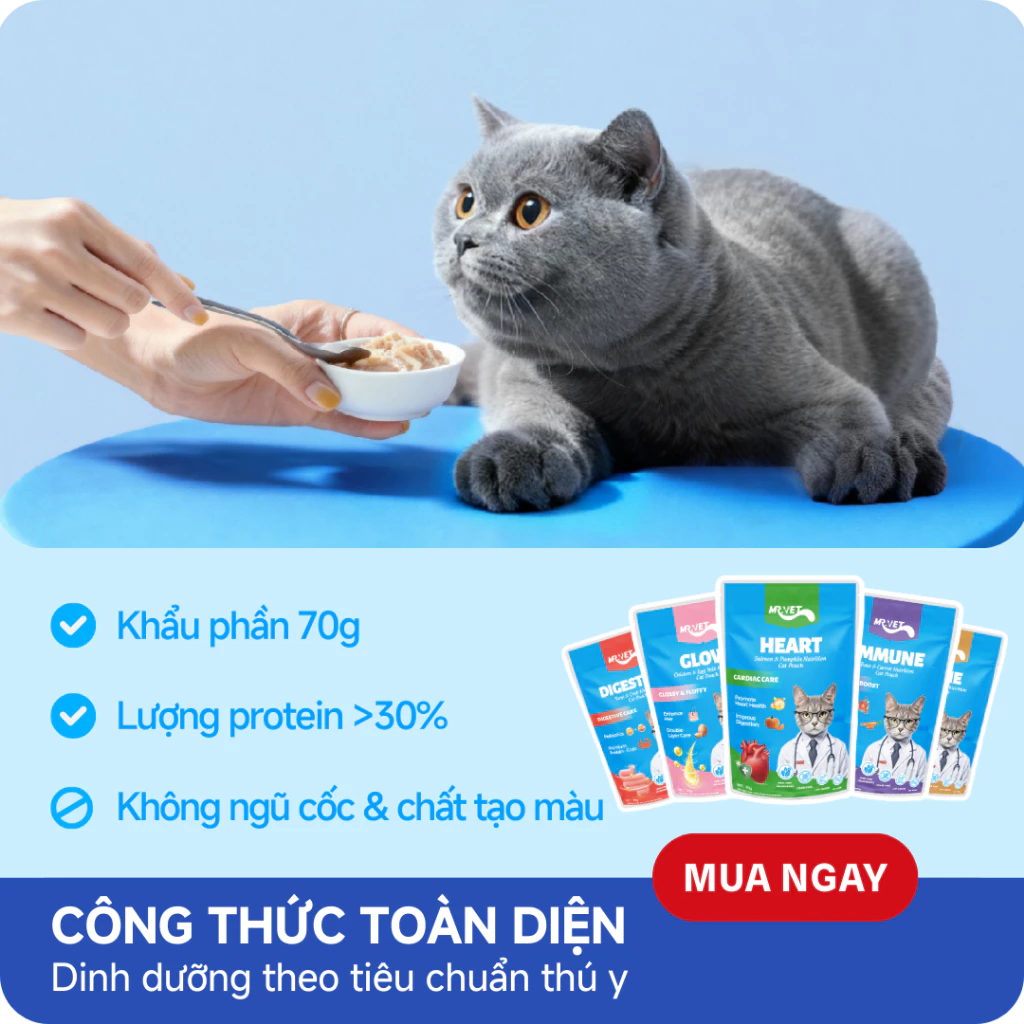 Pate Dinh Dưỡng MRVET Gói 70G Hỗ Trợ Tim Mạch, Tiêu Hóa, Xương Khớp, Chăm Sóc Da Lông Và Tăng Cường Miễn Dịch