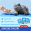 COMBO MIX 5 Pate Dinh Dưỡng MRVET Gói 70G Hỗ Trợ Tim Mạch, Tiêu Hóa, Xương Khớp, Hệ Miễn Dịch, Da Lông