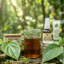CHIẾT XUẤT TRẦU KHÔNG - BETEL LEAF EXTRACT (VIỆT NAM)