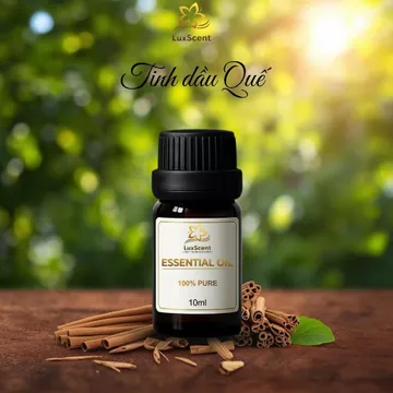 Tinh dầu quế 10ml - 50ml LuxScent, tinh dầu thơm phòng tinh dầu Tết xông tinh dầu thơm phòng tinh dầu xông thơm phòng