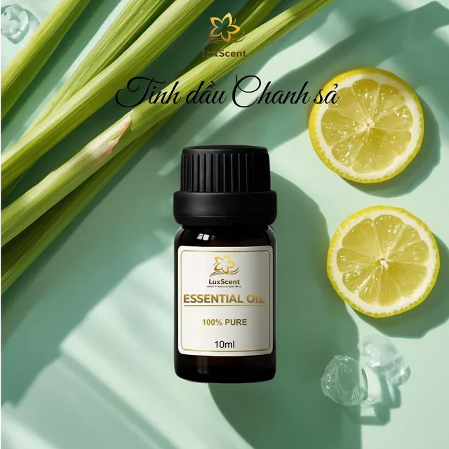 Tinh dầu sả chanh 10ml - 50ml LuxScent tinh dầu xông thơm phòng đuổi muỗi khử mùi thơm phòng xông tinh dầu thơm phòng