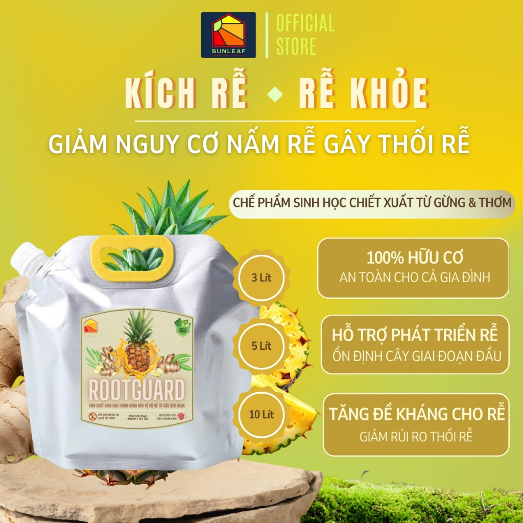 Phòng Nấm Rễ, Thối Rễ, Kích Rễ Non, Bảo Vệ Rễ | 100% Hữu Cơ Chiết Xuất Gừng & Thơm | Phong Lan, Hoa Hồng | SUNLEAF
