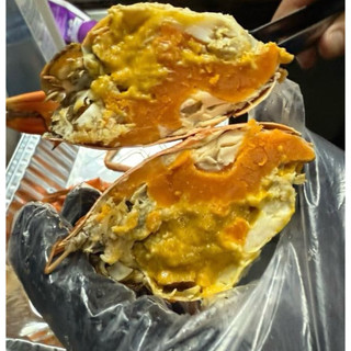 Cua gạch son (dây rút ) (240~260g)(hàng sẵn giao liền (1 con )