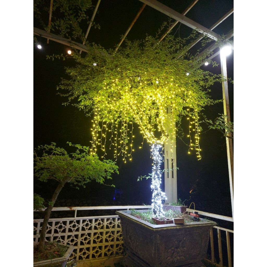 Dây Led Quấn Cây, Dây Led Đúc F5 , Dây led trang trí, 1 dây dài 3m gồm 50 mắt, Dây Đèn Chống Nước