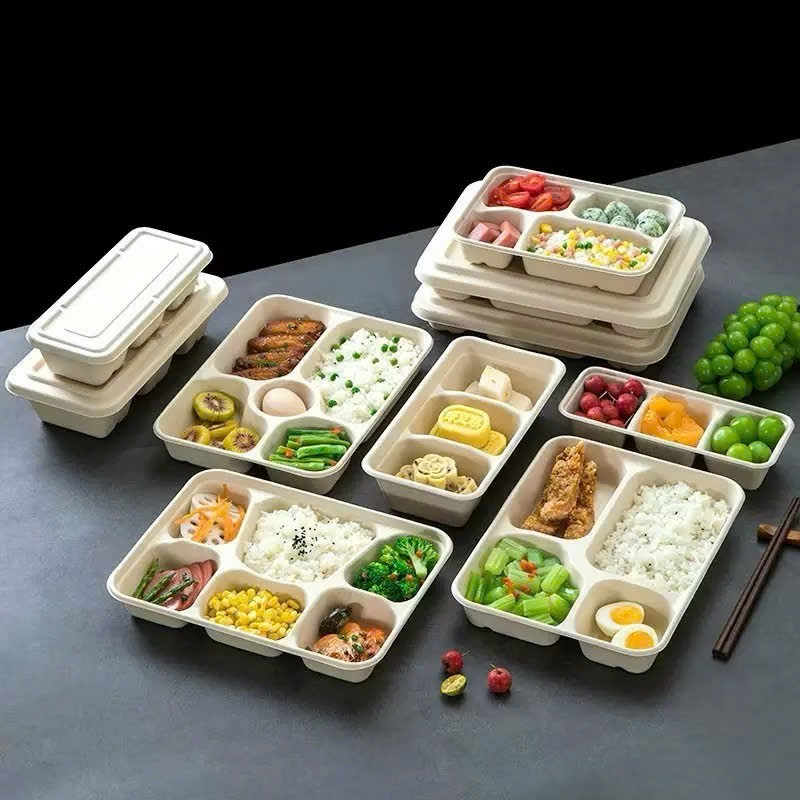 Combo 10 khay cơm văn phòng 5 ngăn có nắp đựng suất ăn tiện lợi