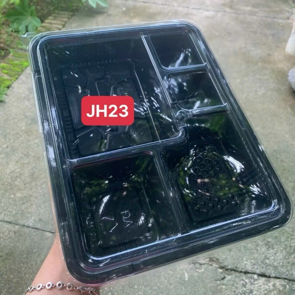 Combo 100 khay cơm hộp văn phòng dùng 1 lần 5 ngăn có nắp trong suốt.