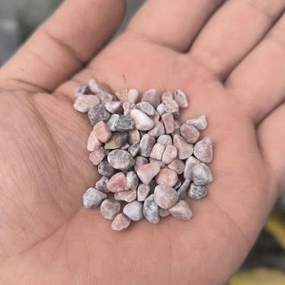 Cát sỏi trải nền bể cá thủy sinh