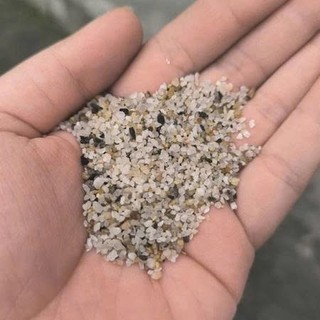 Cát sỏi trải nền bể cá thủy sinh