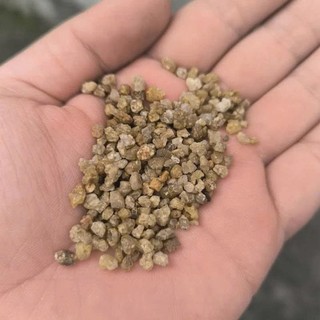 Cát sỏi trải nền bể cá thủy sinh