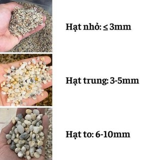 Cát sỏi trải nền bể cá thủy sinh