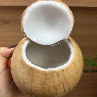 Set 5 Trái Dừa Xiêm Đỏ Miền Tây Nguyên Vỏ KACOCO - Ngọt, Mỏng vỏ, nước nhiều giải khát, giảm nhiệt, tươi mát, uống liền