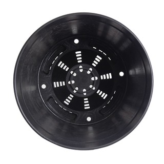 Nhà Thương Cây - CHẬU TRỒNG CÂY OH ĐEN - 30*33 cm