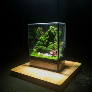 Terrarium Phong Thủy "LINH LỘC SƠN CỐC" Thung Lũng Tụ Khí, Nơi Linh Thú Ngự Trị Quà tặng tết ý nghĩa