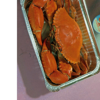 Cua Cà Mau thịt Y2 (460g~550g) hàng sẵn giao liền