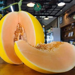 Hạt giống Dưa Lê Vỏ Vàng F1 Siêu Đậu Quả (Gói 20 Hạt) Ăn Thơm Ngọt, Dễ Trồng, Năng Suất Cao