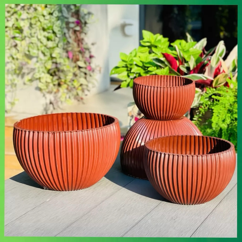 (ẢNH THẬT) Chậu Gân sọc để bàn màu trắng trồng hoa Tết, hàng đẹp và sẵn kho ạ