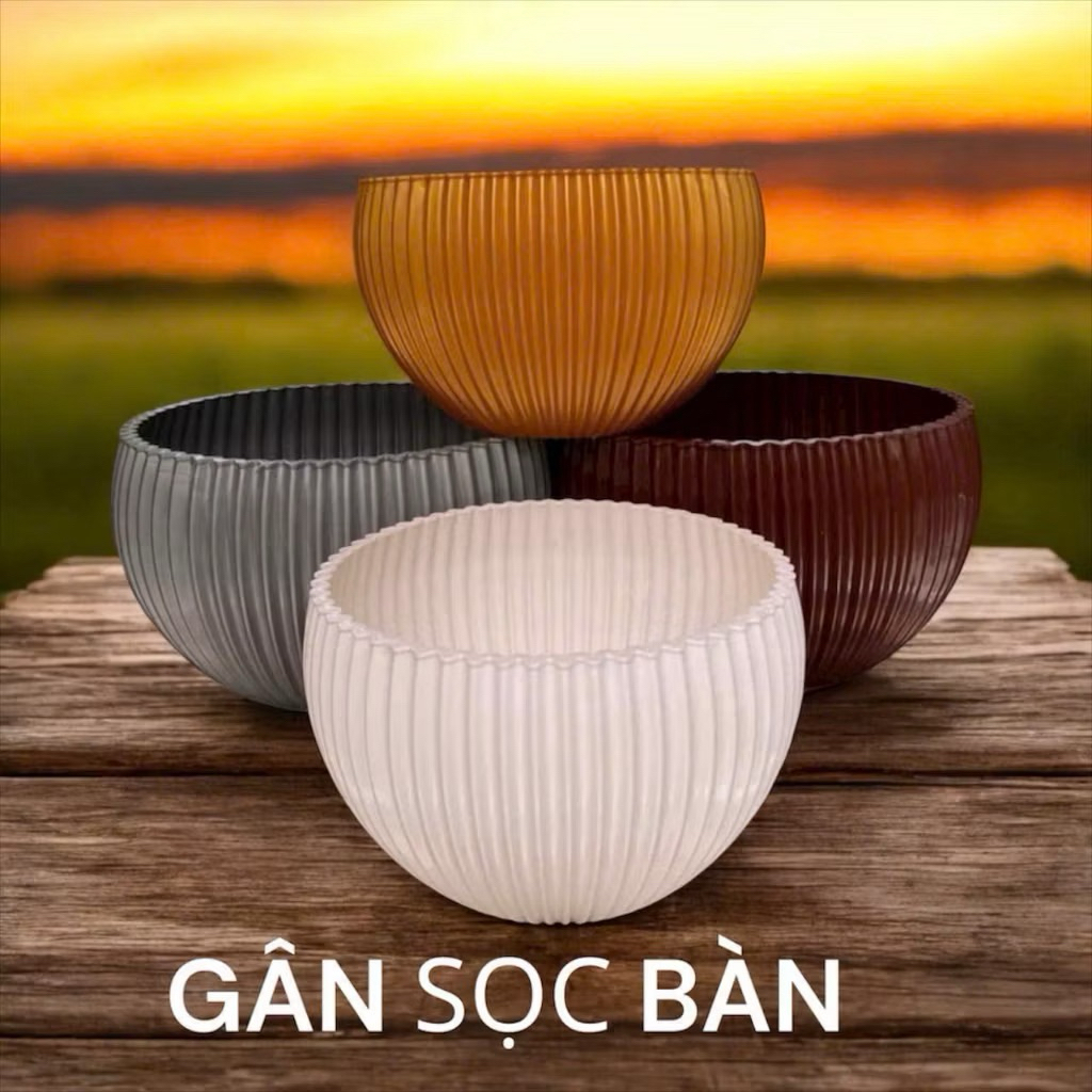 (ẢNH THẬT) Chậu Gân sọc để bàn màu trắng trồng hoa Tết, hàng đẹp và sẵn kho ạ