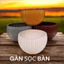 Chậu Gân sọc để bàn màu trắng trồng hoa Tết, hàng đẹp và sẵn kho ạ