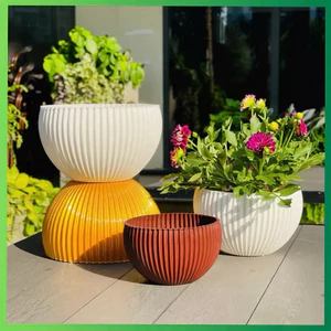 Chậu Gân sọc để bàn màu trắng trồng hoa Tết, hàng đẹp và sẵn kho ạ