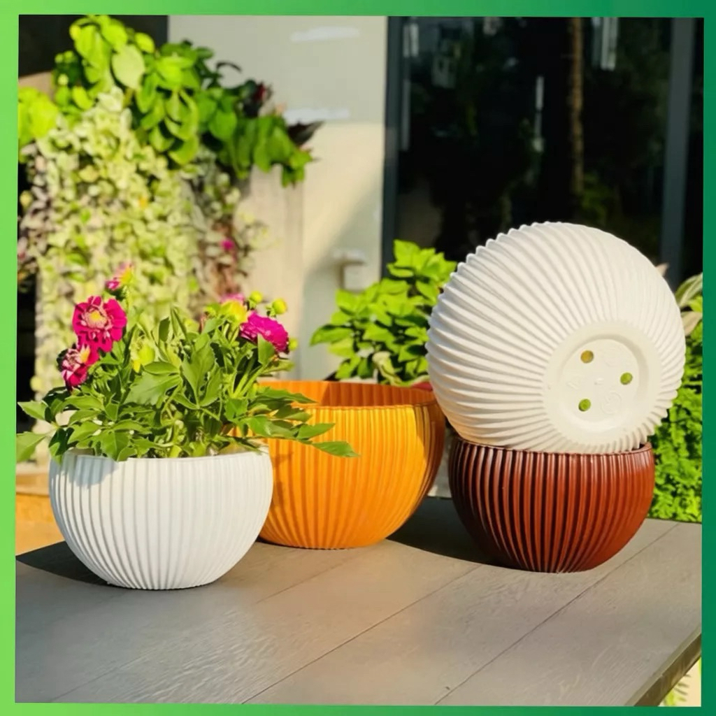 Chậu Gân sọc để bàn màu Vàng Đồng sang trọng (đủ màu)