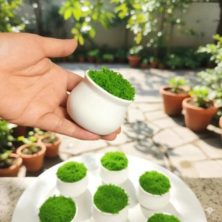 Chậu nhựa kèm xốp cỏ xanh dùng làm chậu cây hoa handmade