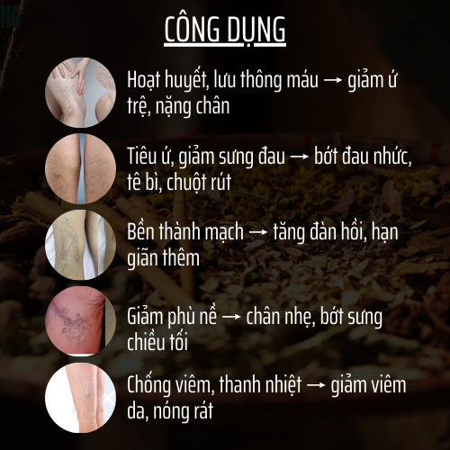 Đông y gia truyền Đông Cát - Hoàn tán suy dãn tĩnh mạch - Bền thành mạch, giảm phù nề, tiêu ứ giảm sưng, tiêuviêm - 500v