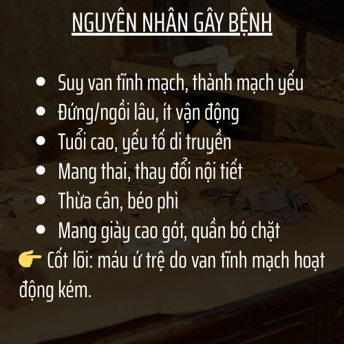 Đông y gia truyền Đông Cát - Hoàn tán suy dãn tĩnh mạch - Bền thành mạch, giảm phù nề, tiêu ứ giảm sưng, tiêuviêm - 500v