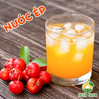 Cây Sơ Ri Thái THIỆN FARM 70cm quả ngọt thanh, thơm mát, dùng ăn tươi hoặc nước ép, cây trồng chậu