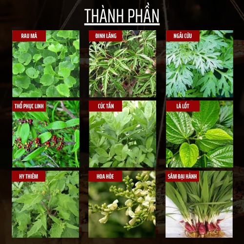 Đông y gia truyền Đông Cát - Hoàn tán suy dãn tĩnh mạch - Bền thành mạch, giảm phù nề, tiêu ứ giảm sưng, tiêuviêm - 500v
