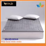 Đệm điện sưởi thảo dược ngải cứu NICOLAS – Sưởi ấm dịu nhẹ, an toàn cho cả gia đình, có chức năng hẹn giờ thông minh — ảnh 2