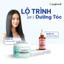 Tẩy Tế Bào Chết Da Đầu Compliment Detox Sạch Sâu, Kiềm Dầu, Ngăn Gàu, Giảm Ngứa 300ml