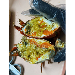 Cua gạch son (dây rút ) (240~260g)(hàng sẵn giao liền (1 con )