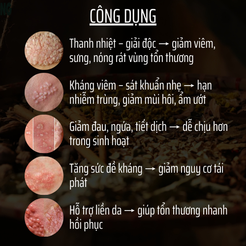 Thảo mộc thiên nhiên - Đông Cát Đường - Hoàn tán sùi mào gà, kháng khuẩn hpv, giảm ngứa, vi.êm, nóng rát - Túi 500 hoàn