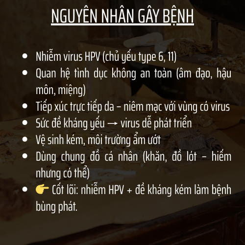 Thảo mộc thiên nhiên - Đông Cát Đường - Hoàn tán sùi mào gà, kháng khuẩn hpv, giảm ngứa, vi.êm, nóng rát - Túi 500 hoàn